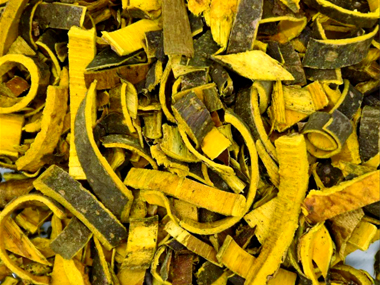 黄柏苗种植：深山藏宝 瑶山地里刨出“金疙瘩”